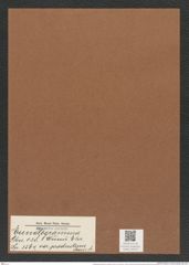 Eunotogramma weissii var. productum Grove e St. (de-Toni-Nr.: Genus 128, Species 3564) Zeichnungen Sammlung Grunow Mappe 03732 (Herbarium_W_Grunow_drawings_Folder_03732)